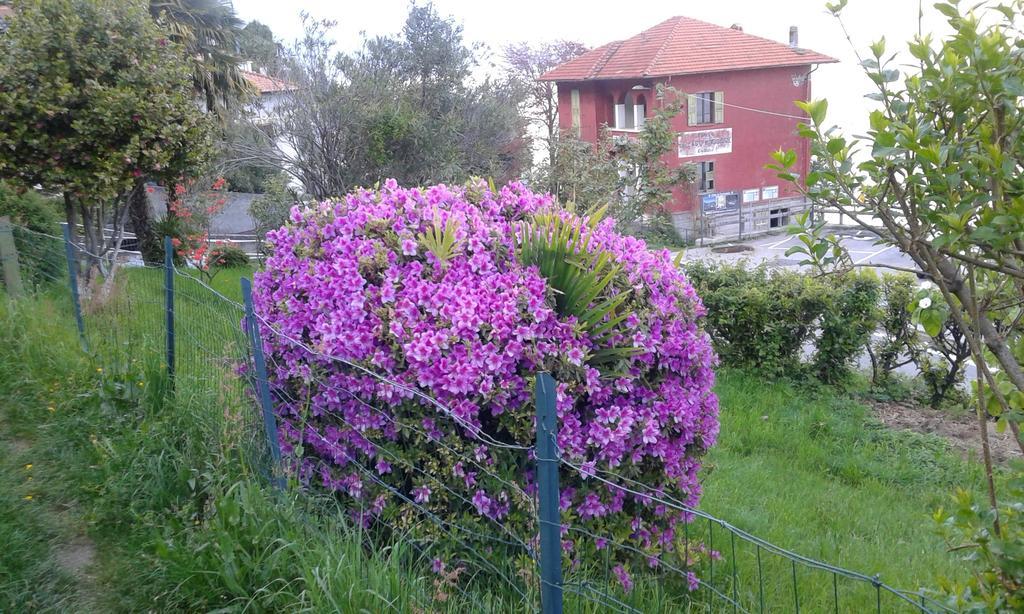 Vanni'S House Cannobio Kültér fotó